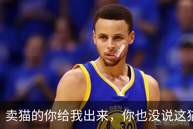 卖猫的你给我出来，你也没说这猫能长这么大啊