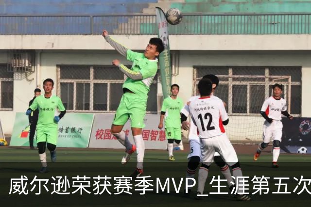 威尔逊荣获赛季MVP 生涯第五次创WNBA纪录