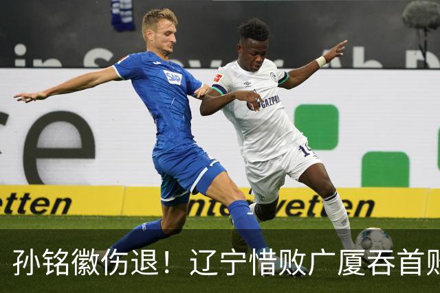 孙铭徽伤退！辽宁惜败广厦吞首败 威尔斯战旧主狂轰36+7+5