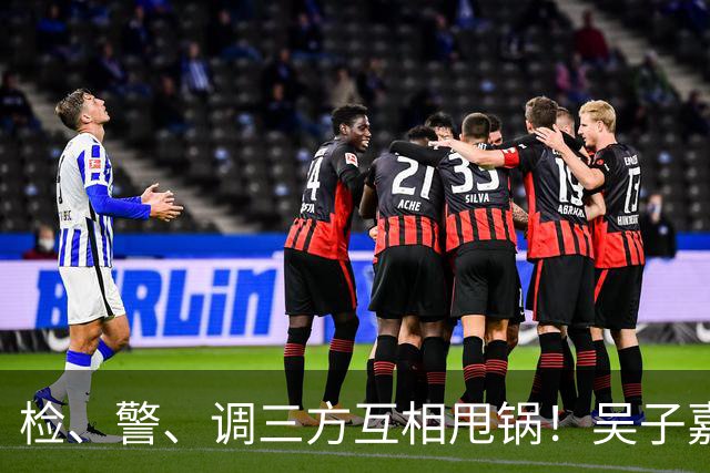 检、警、调三方互相甩锅！吴子嘉上演反击教科书，郑丽文可以效仿