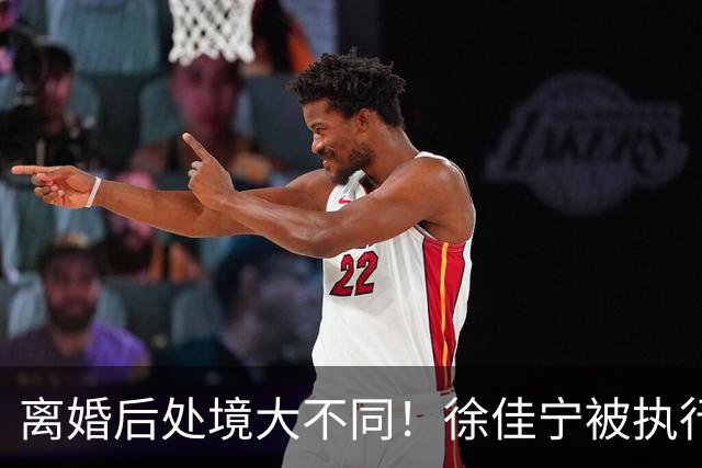 离婚后处境大不同！徐佳宁被执行标的2111万元，李小冉买豪宅名车