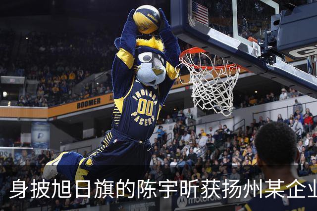 身披旭日旗的陈宇昕获扬州某企业支持，汤家凤发文怒批：必须严惩，露头就打